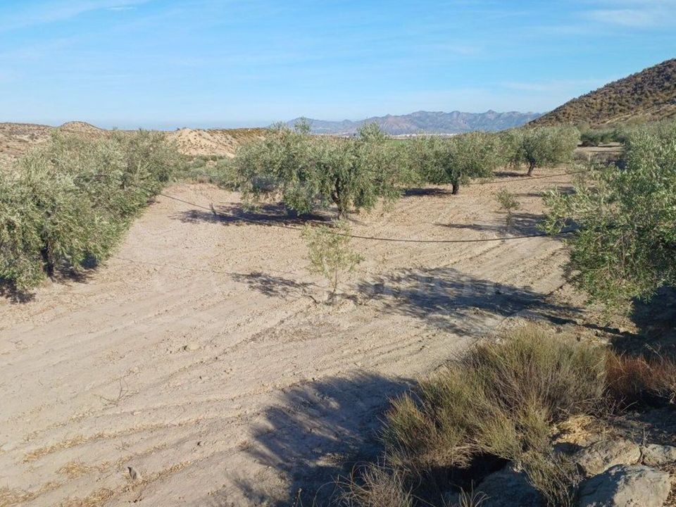 Helårsgrund i Zurgena, Almeria - foto 5