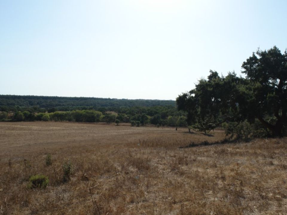 Farm i Sao Domingos e Vale de Agua, Setubal - foto 1