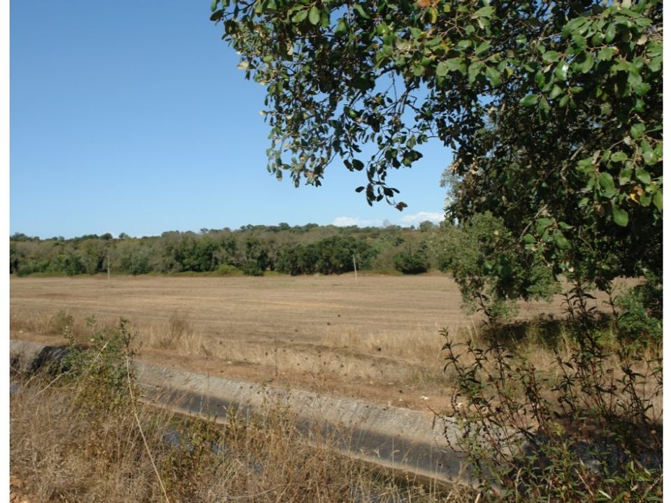 Farm i Sao Domingos e Vale de Agua, Setubal - foto 2