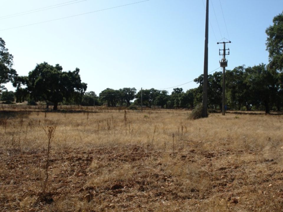 Farm i Sao Domingos e Vale de Agua, Setubal - foto 4