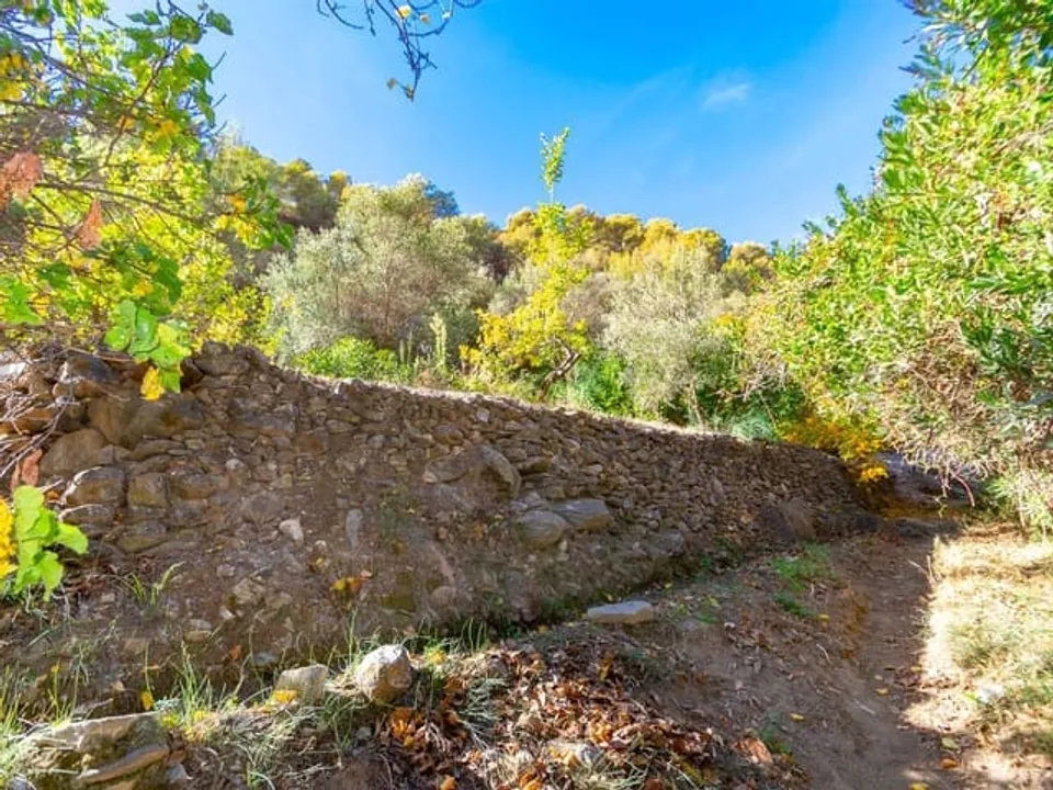Helårsgrund i Canillas De Albaida, Malaga - foto 3