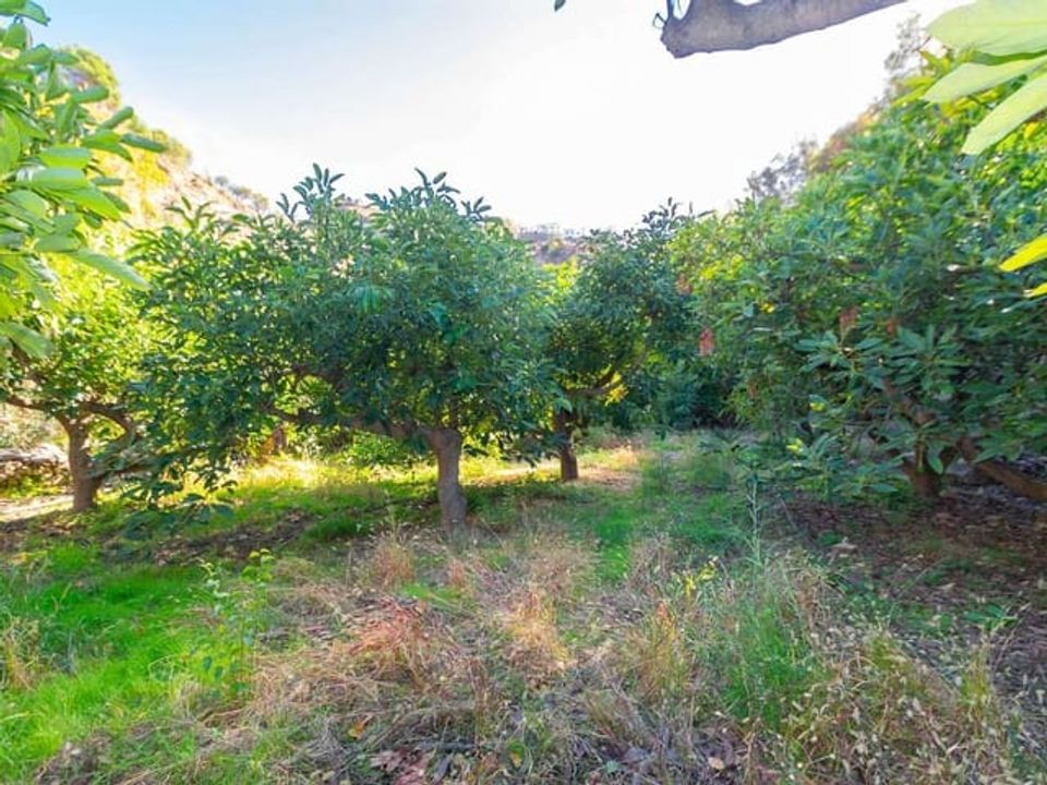 Helårsgrund i Canillas De Albaida, Malaga - foto 4
