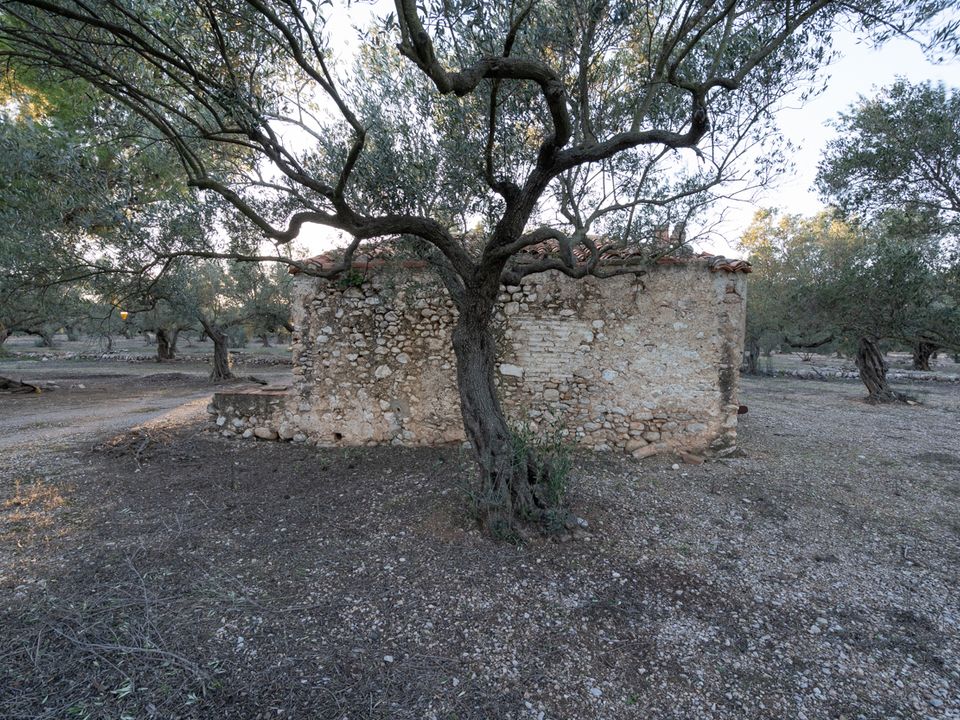 Finca i Mas De Barberans, Tarragona - foto 4