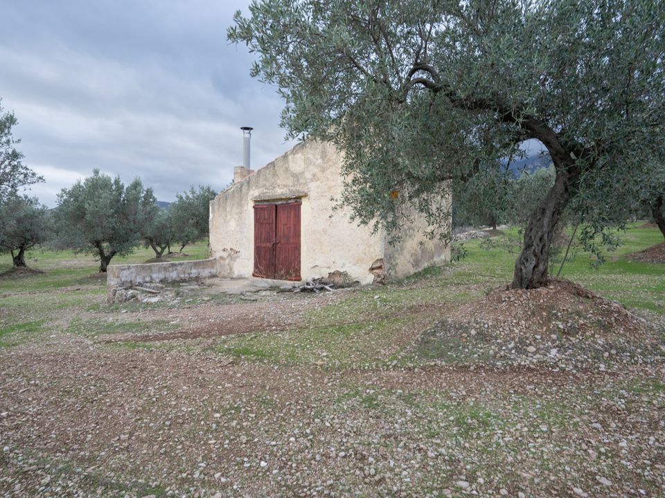Finca a Roquetes, Tarragona - foto 3
