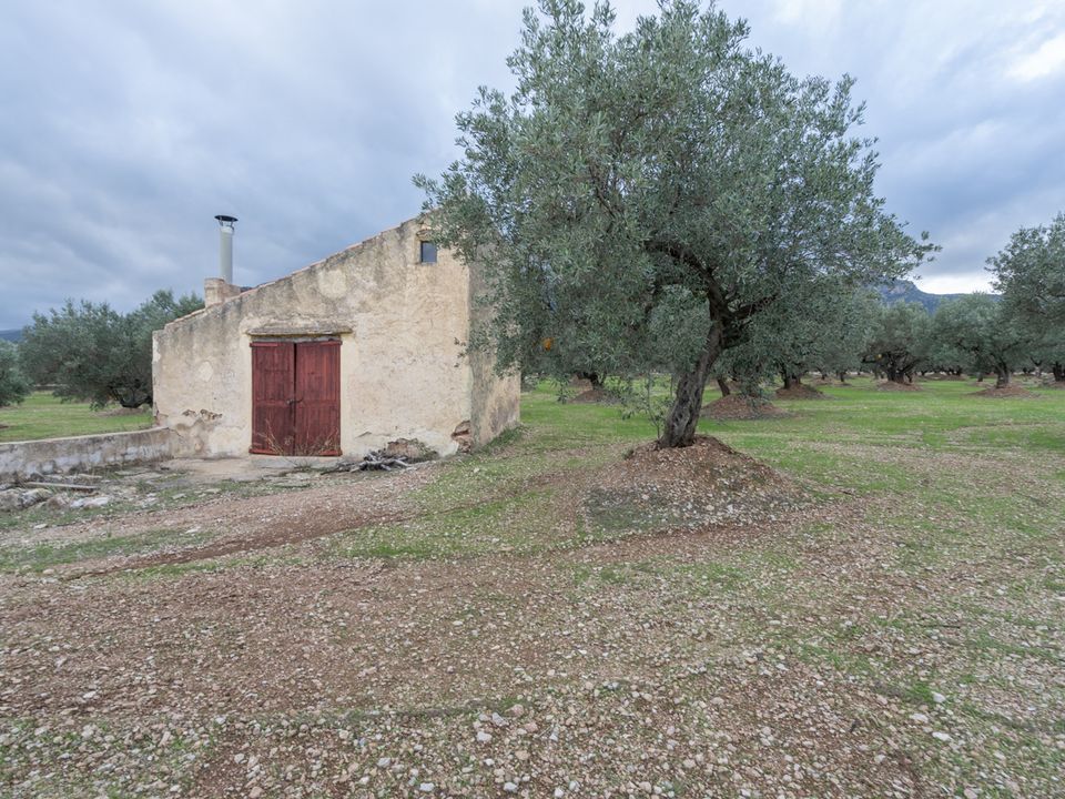 Finca a Roquetes, Tarragona - foto 5
