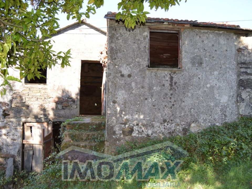 Farm i Raiva, Aveiro - foto 4