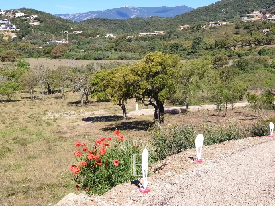 Terra a Sainte-Lucie de Porto-Vecchio, Corse-du-Sud - foto 2