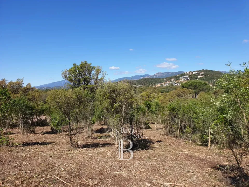 Terra a Sainte-Lucie de Porto-Vecchio, Corse-du-Sud - foto 3