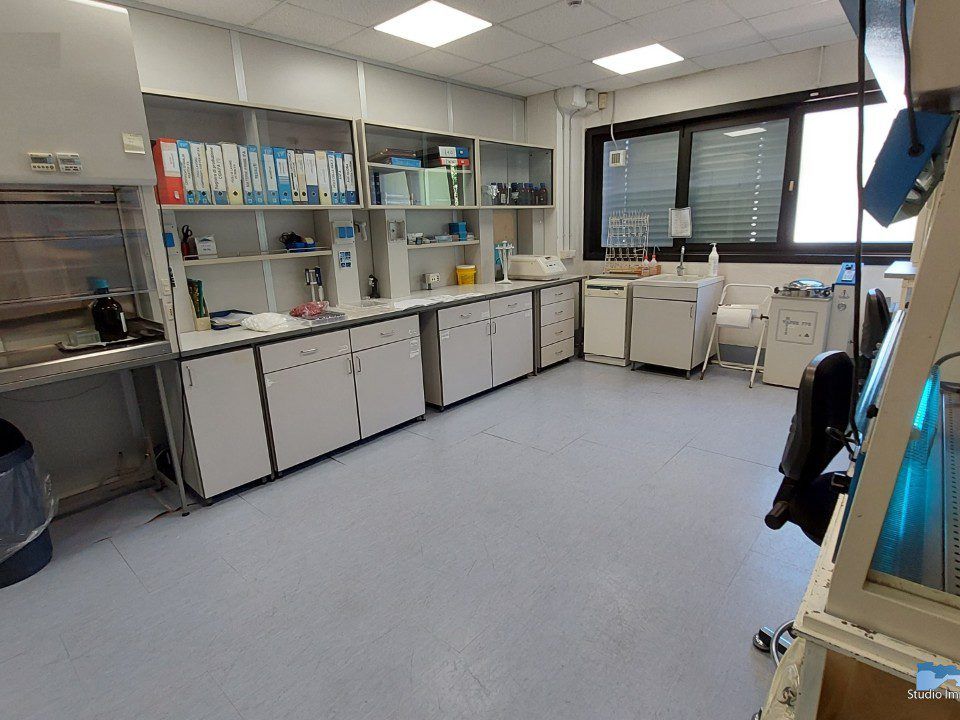 L'establiment comercial a Lessolo, Turin - foto 4