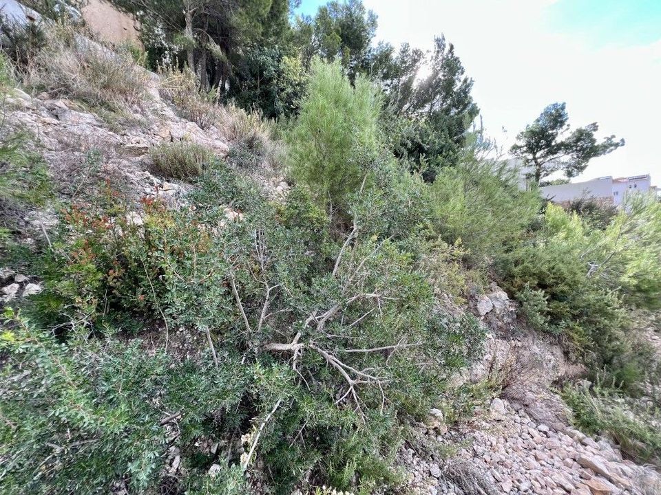 Helårsgrund i Altea, Alicante - foto 3