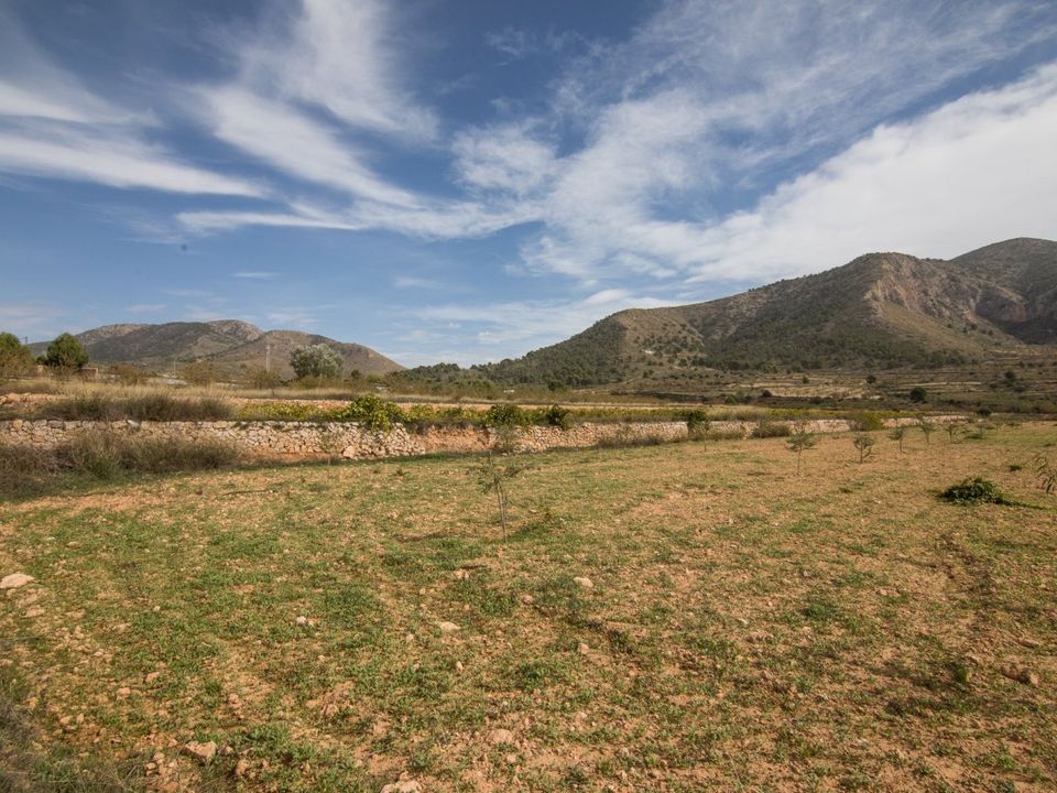 Tomt i Alguena, Alicante - bilde 3
