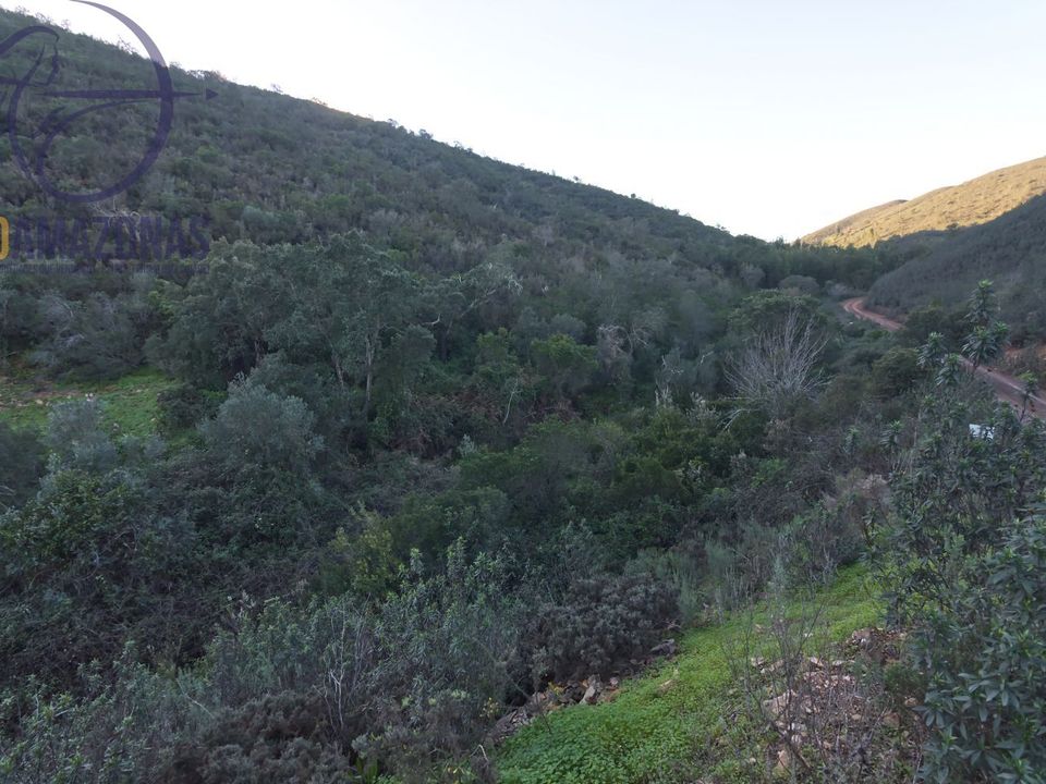Helårsgrund i Silves, Faro - foto 2