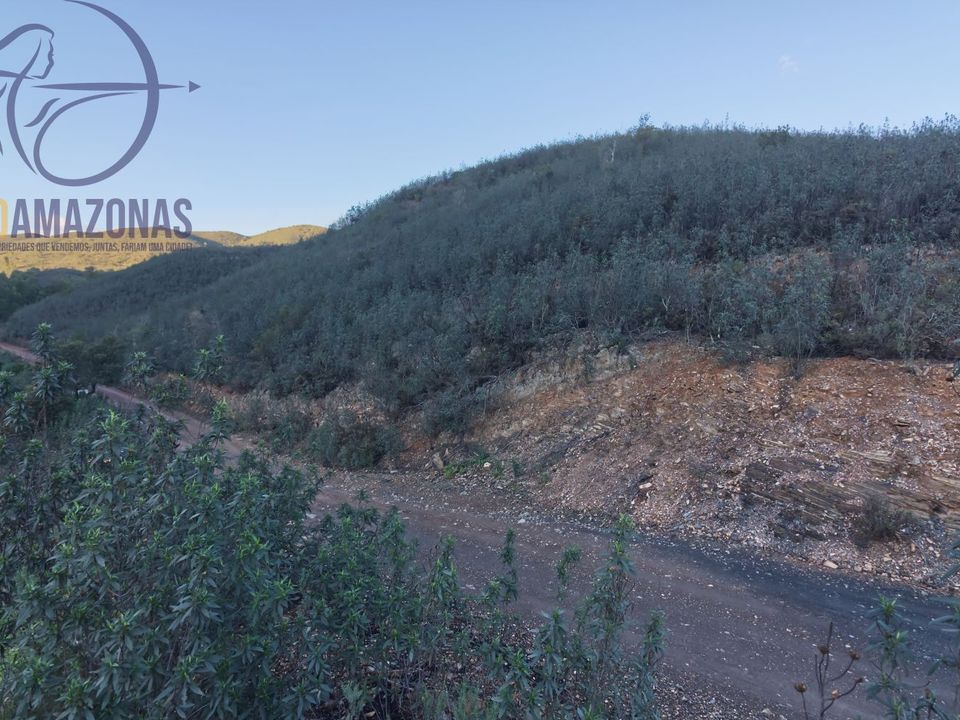 Helårsgrund i Silves, Faro - foto 4
