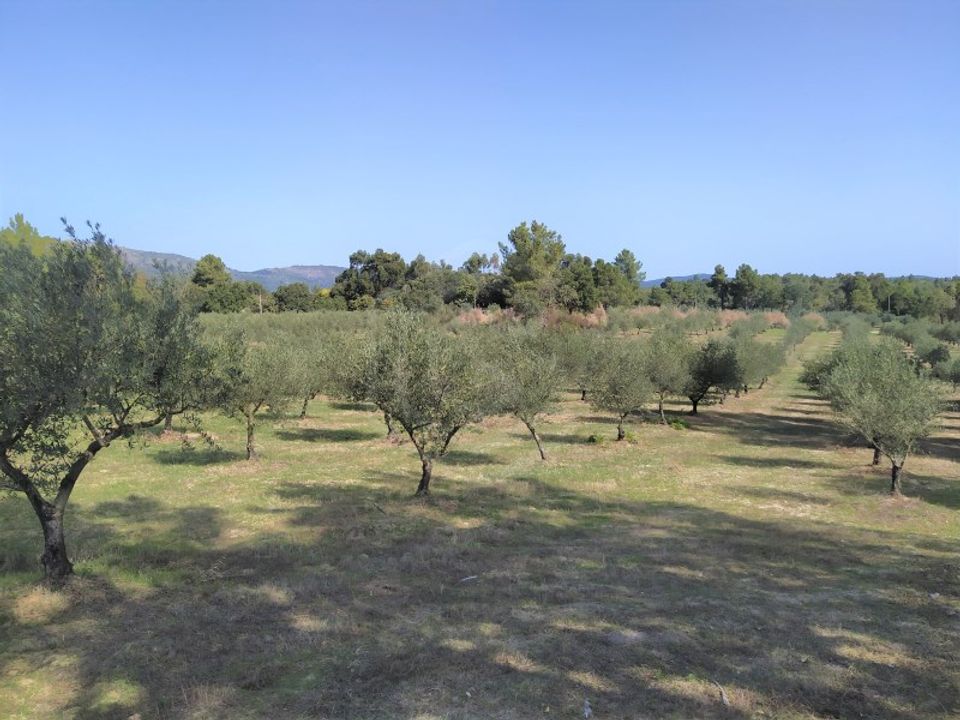 Helårsgrund i Castelo Novo, Castelo Branco - foto 1