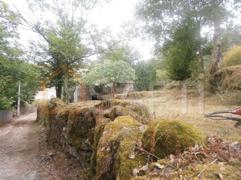 Farm i Braga, Braga - foto 2