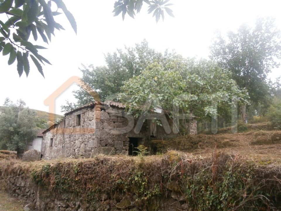 Farm i Braga, Braga - foto 3