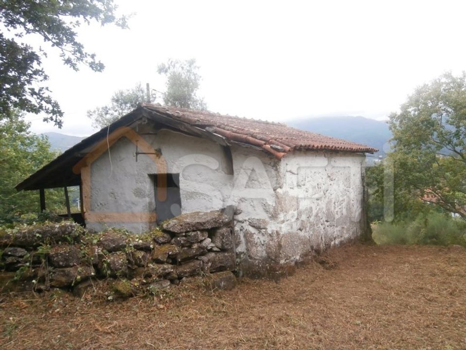 Farm i Braga, Braga - foto 5