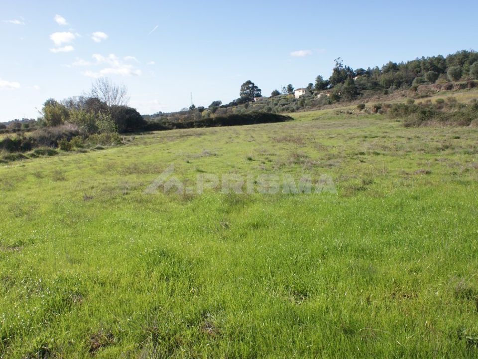 Tomt i Fundao, Castelo Branco - bilde 2