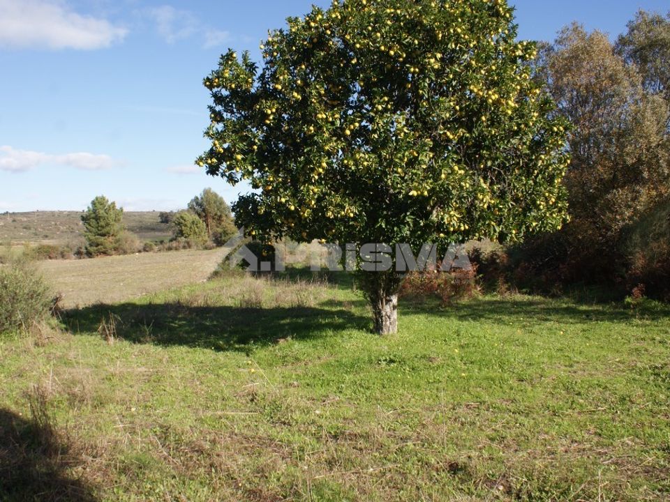 Tomt i Fundao, Castelo Branco - bilde 3