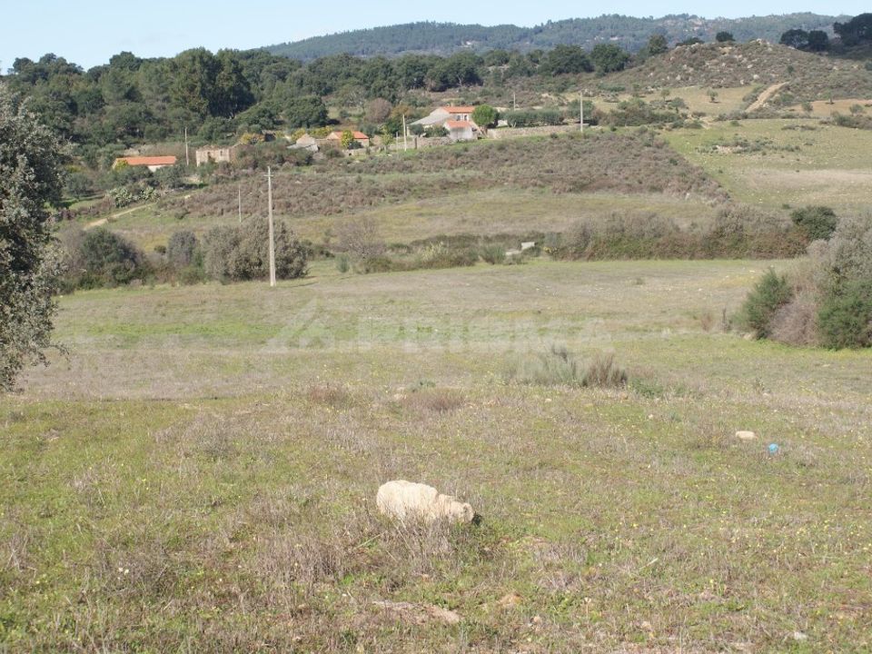 Tomt i Fundao, Castelo Branco - bilde 1