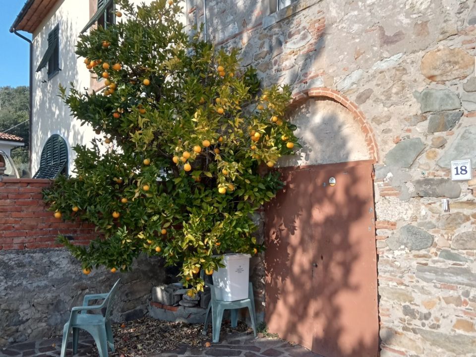 Landejendom i Capannori, Lucca - foto 2