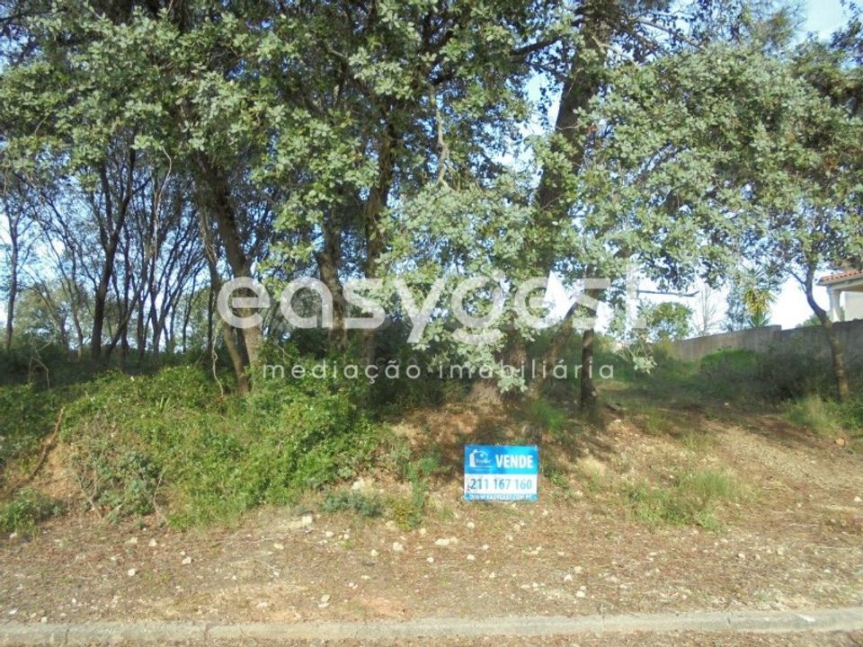 Helårsgrund i Casais e Alviobeira, Santarem - foto 1
