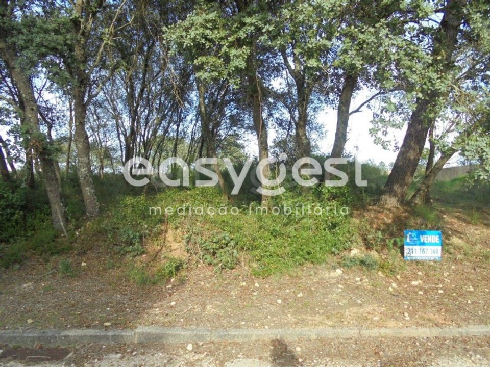 Helårsgrund i Casais e Alviobeira, Santarem - foto 5