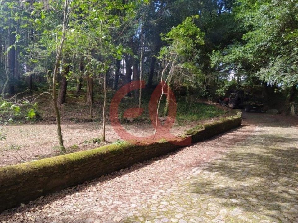 Helårsgrund i Caminha, Viana do Castelo - foto 4