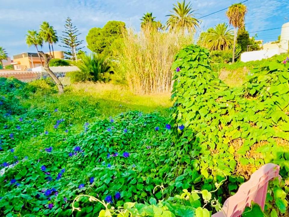 Helårsgrund i Sant Josep de sa Talaia, Ibiza - foto 1
