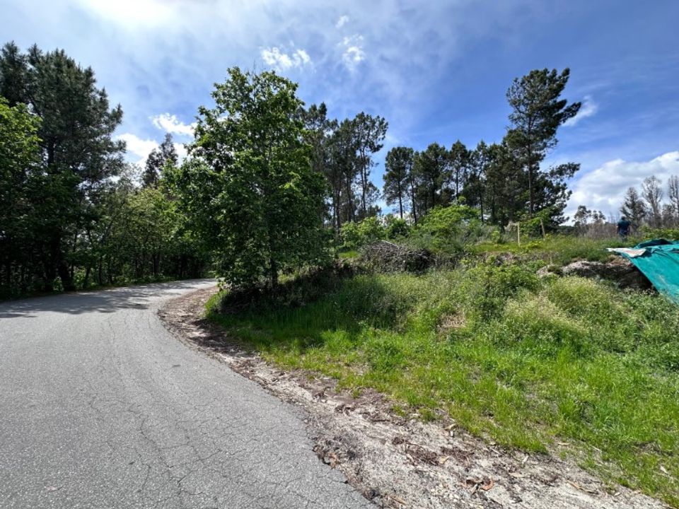 Helårsgrund i Celorico de Basto, Braga - foto 3