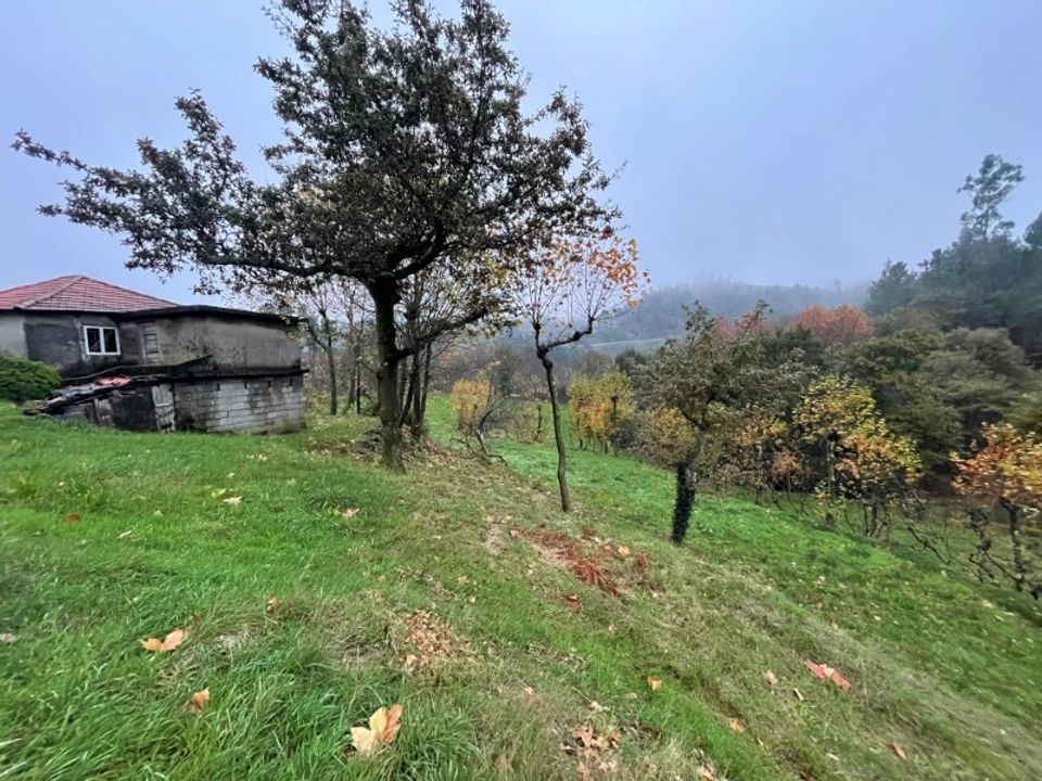 Farm i Celorico de Basto, Braga - foto 3