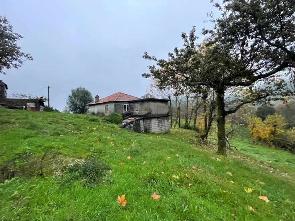 Farm i Celorico de Basto, Braga - foto 1