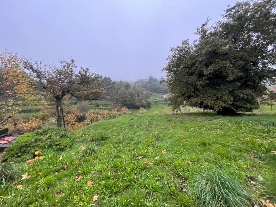 Farm i Celorico de Basto, Braga - foto 4