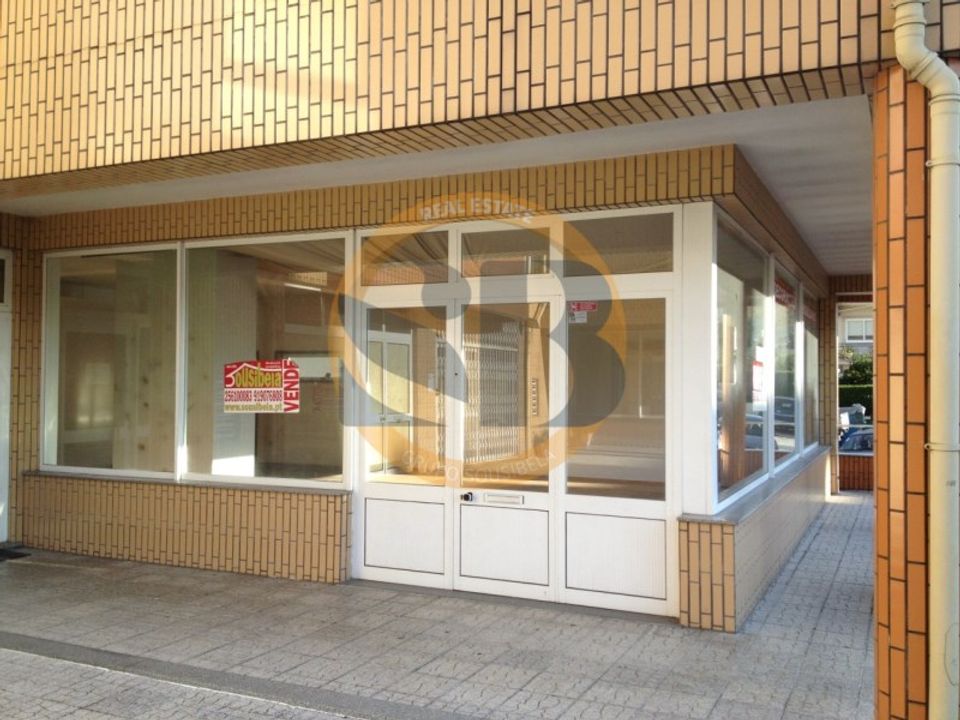 Erhvervsejendom i Nogueira do Cravo e Pindelo, Aveiro - foto 2