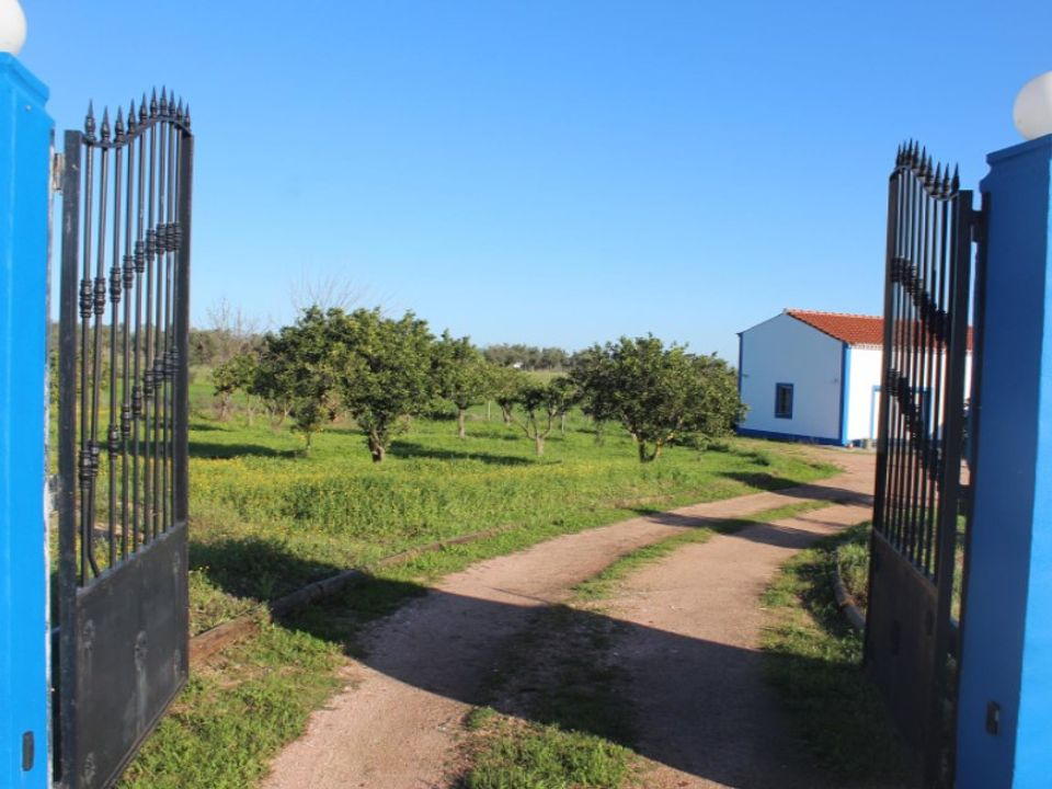 Farm i Reguengos de Monsaraz, Evora - foto 3