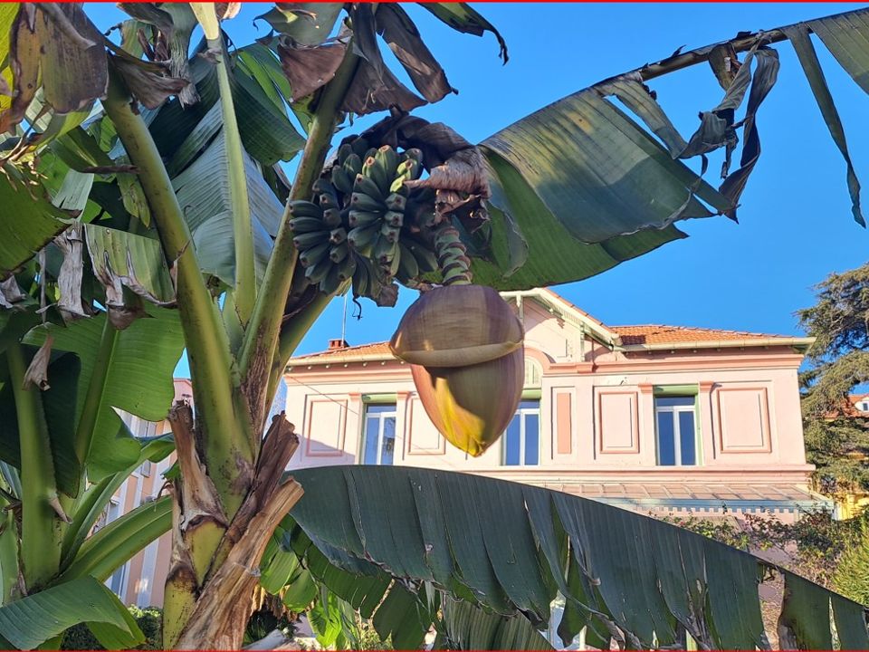 Villa i Hyeres, Var - foto 2