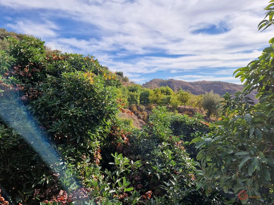 Finca i Guajar Faraguit, Granada - foto 2
