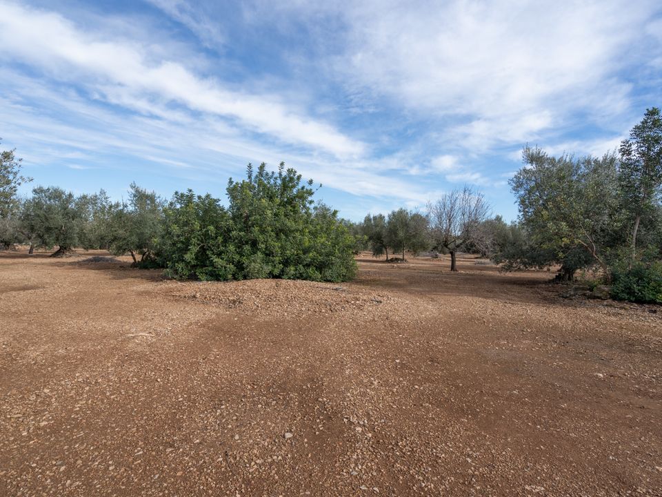 Finca a Roquetes, Tarragona - foto 3