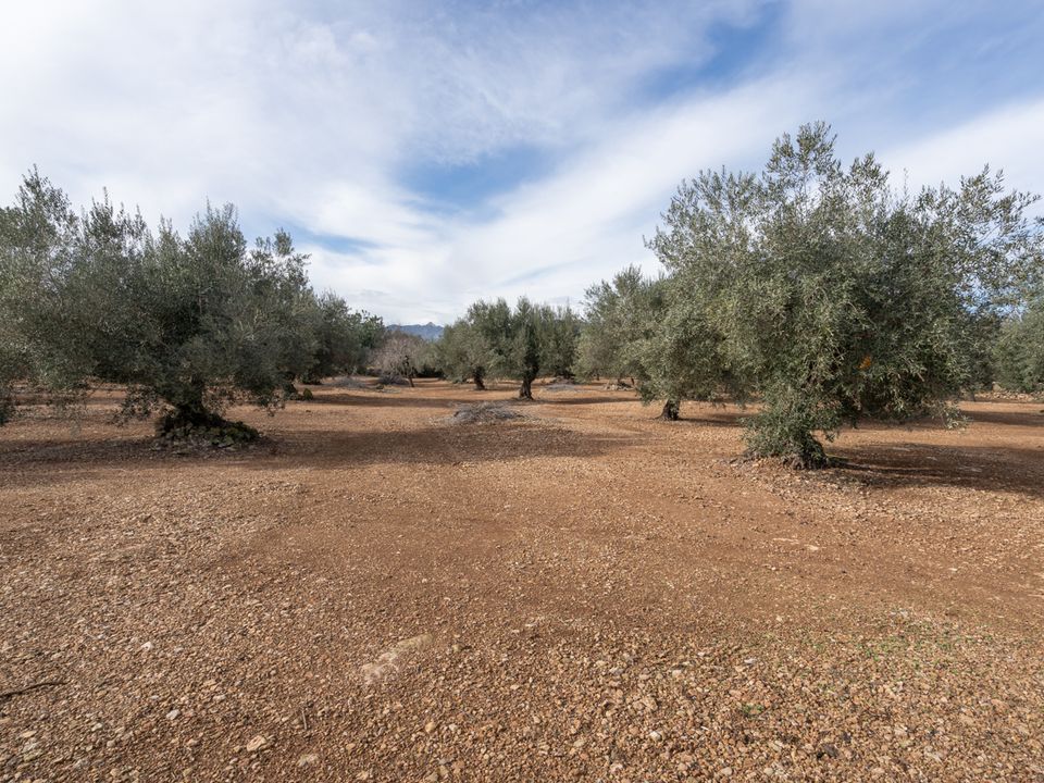 Finca a Roquetes, Tarragona - foto 1