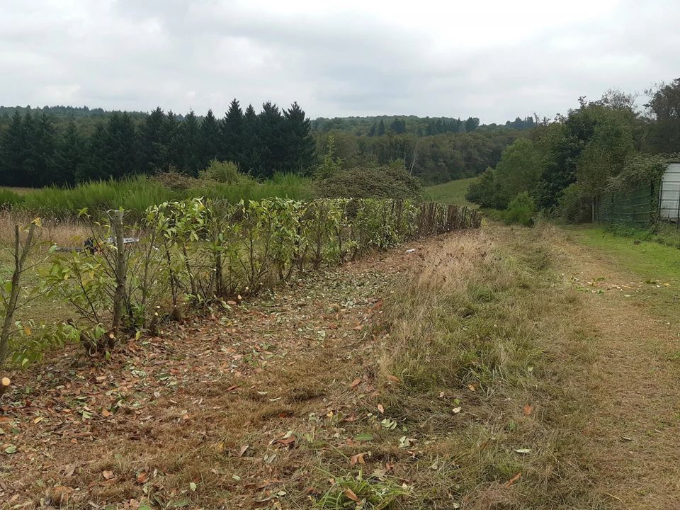 Helårsgrund i Chabanais, Charente - foto 5