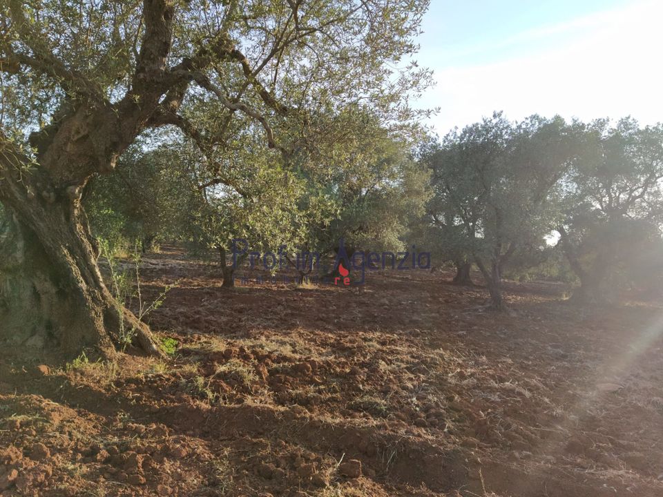 Helårsgrund i Ostuni, Brindisi - foto 1