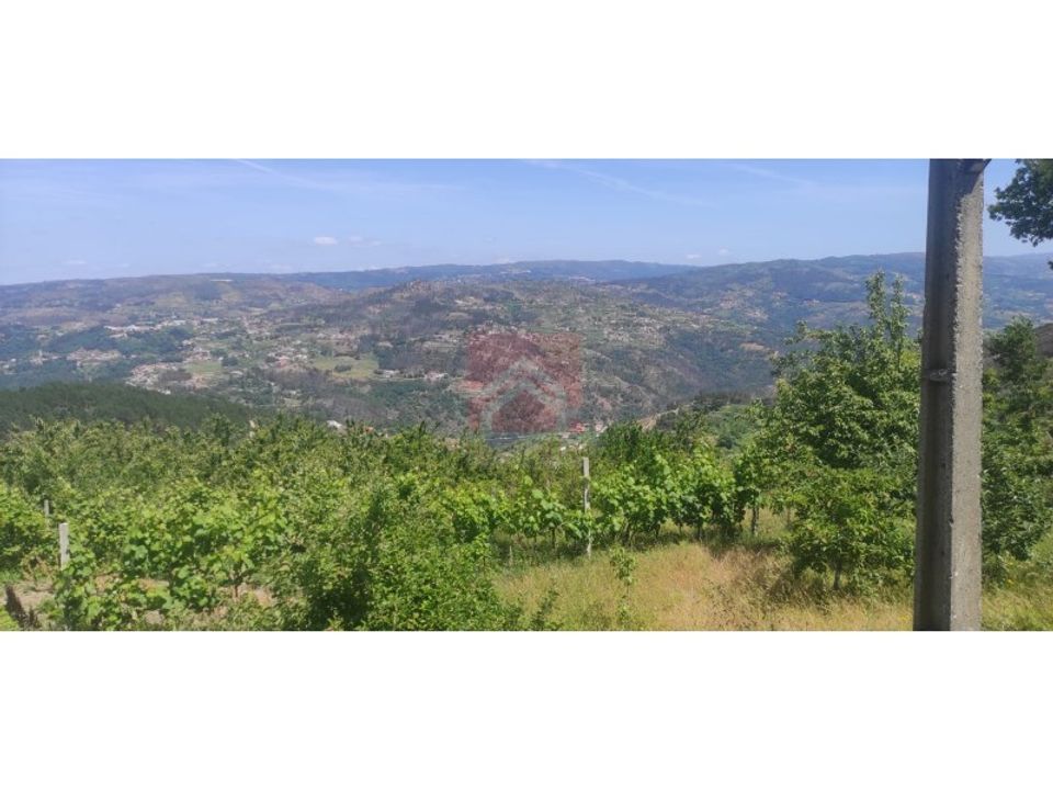 Farm i Cinfaes, Viseu - foto 4