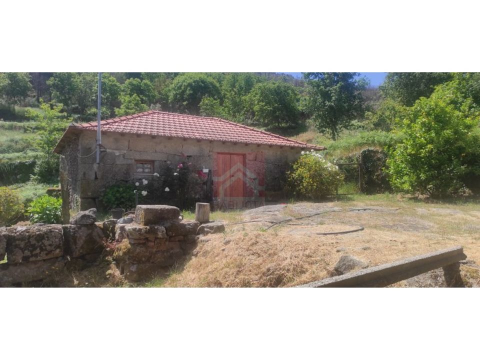 Farm i Cinfaes, Viseu - foto 3