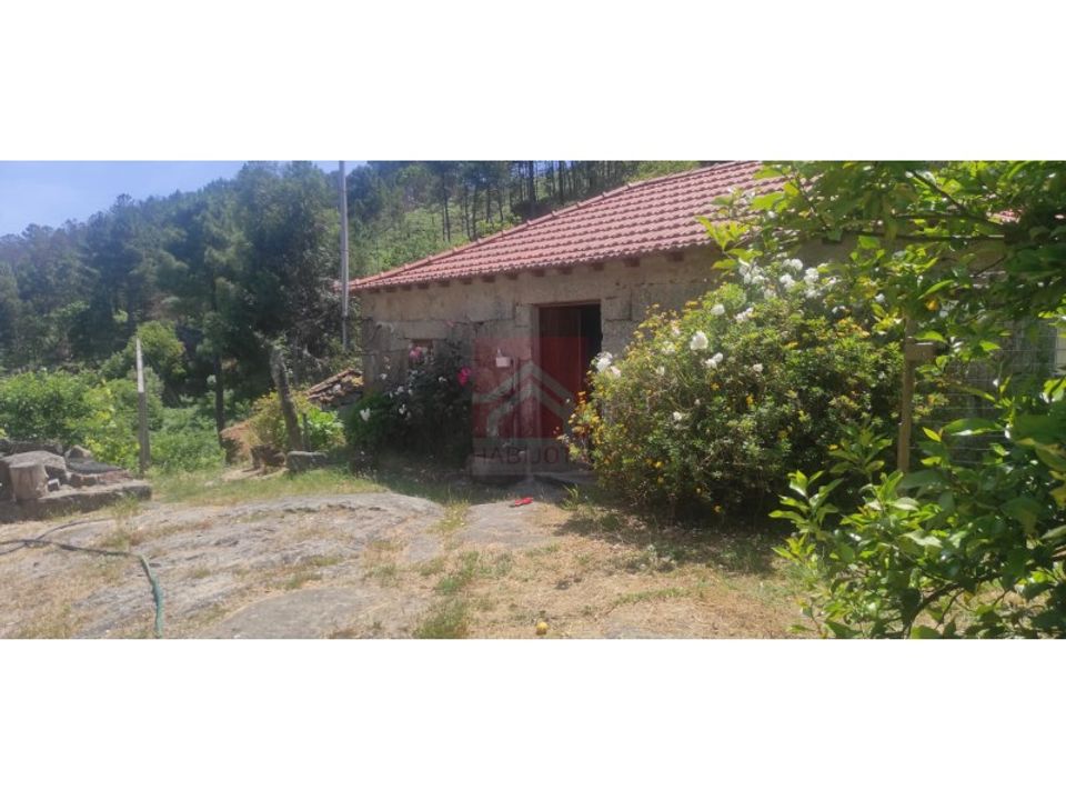 Farm i Cinfaes, Viseu - foto 1