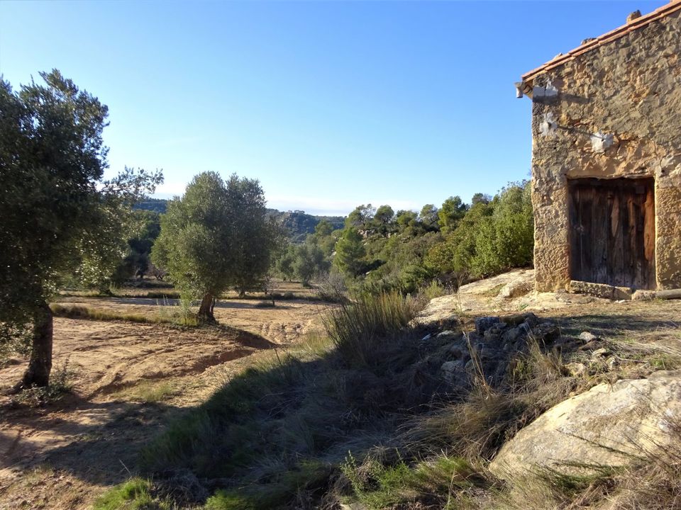 Finca i Maella, Zaragoza - foto 3