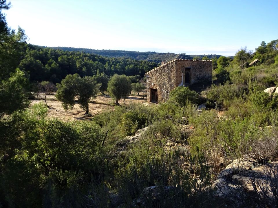 Finca i Maella, Zaragoza - foto 1