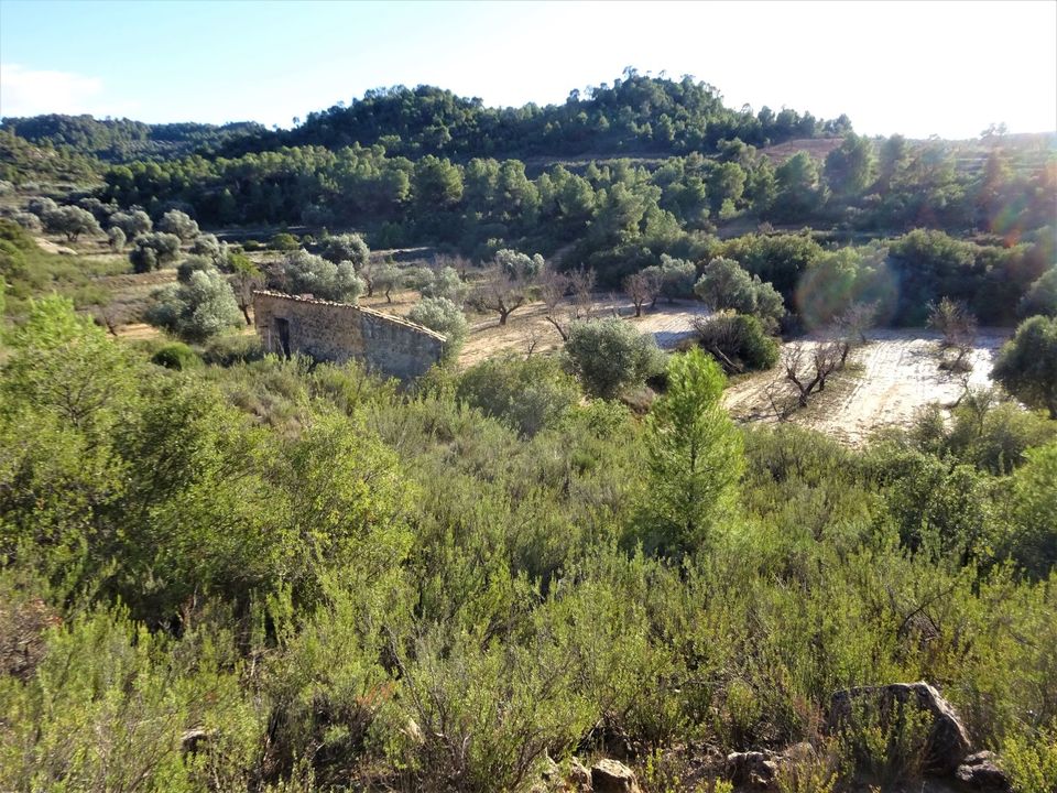 Finca i Maella, Zaragoza - foto 2