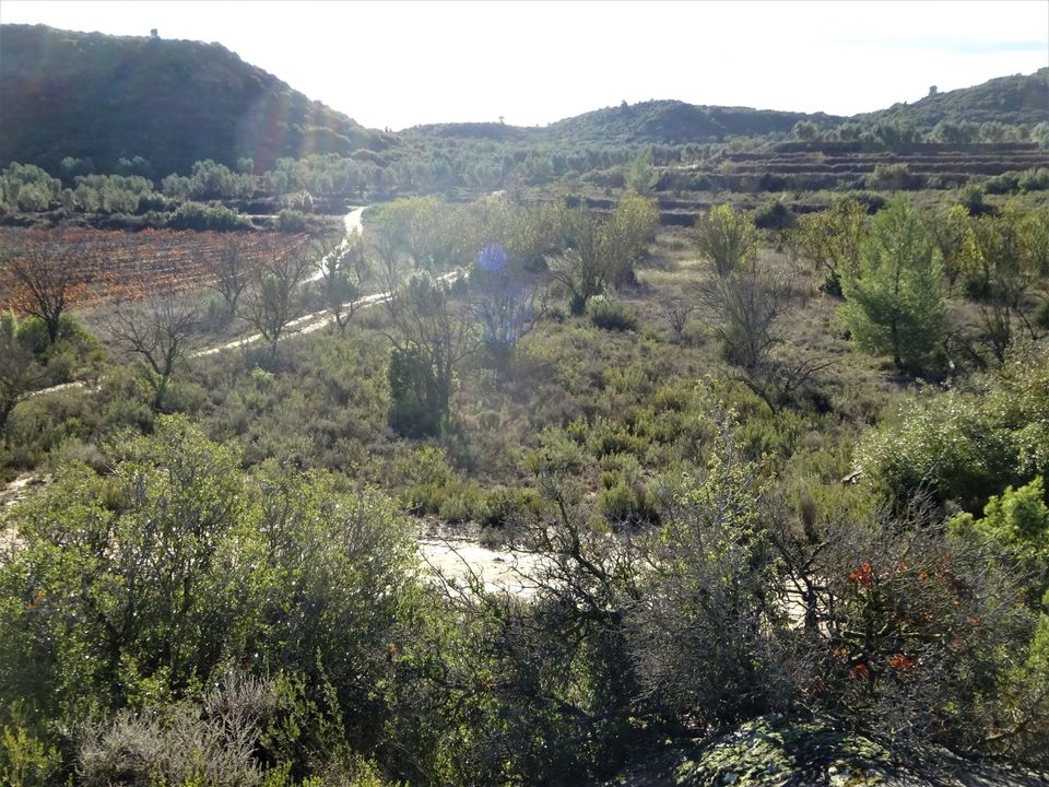 Finca i Maella, Zaragoza - foto 5