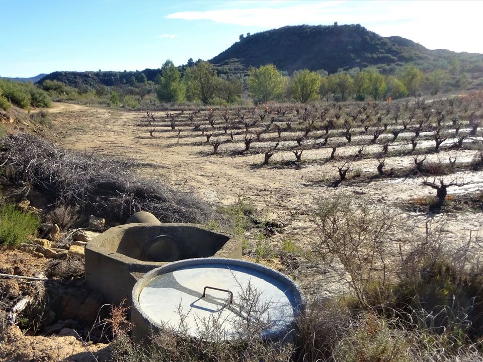 Finca i Maella, Zaragoza - foto 2