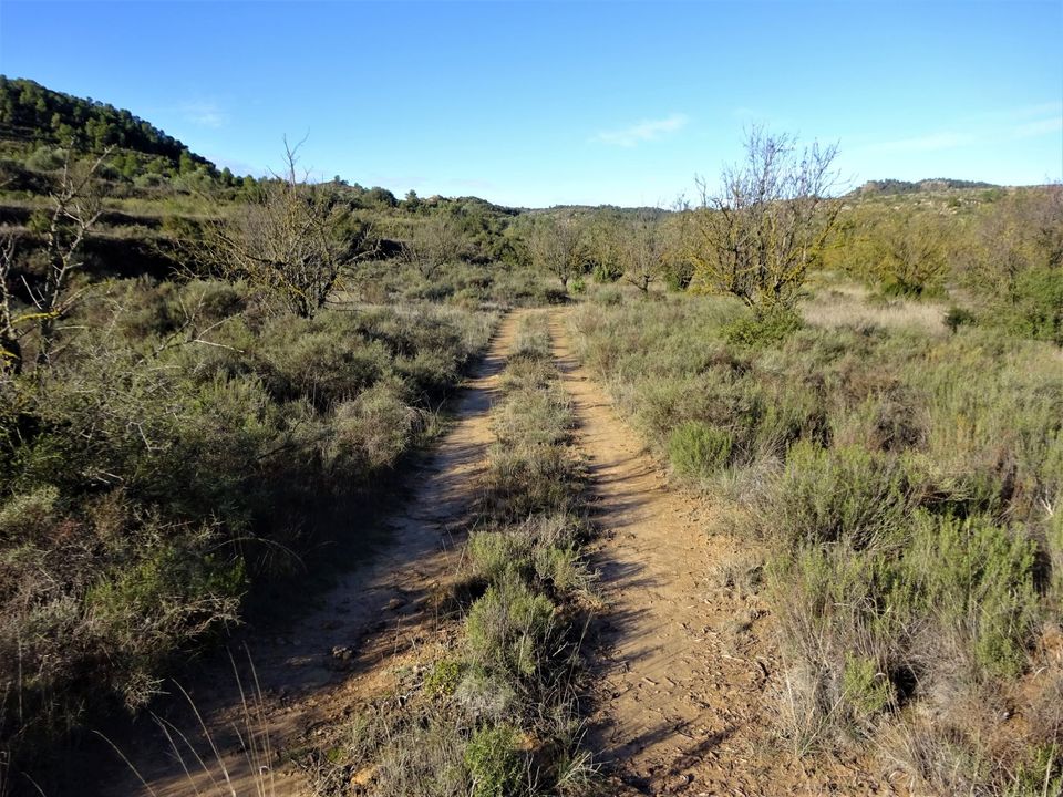 Finca i Maella, Zaragoza - foto 4